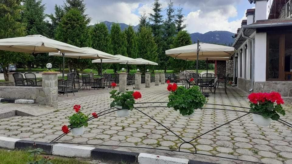 Hotel Cheia Cheia  Dış mekan fotoğraf