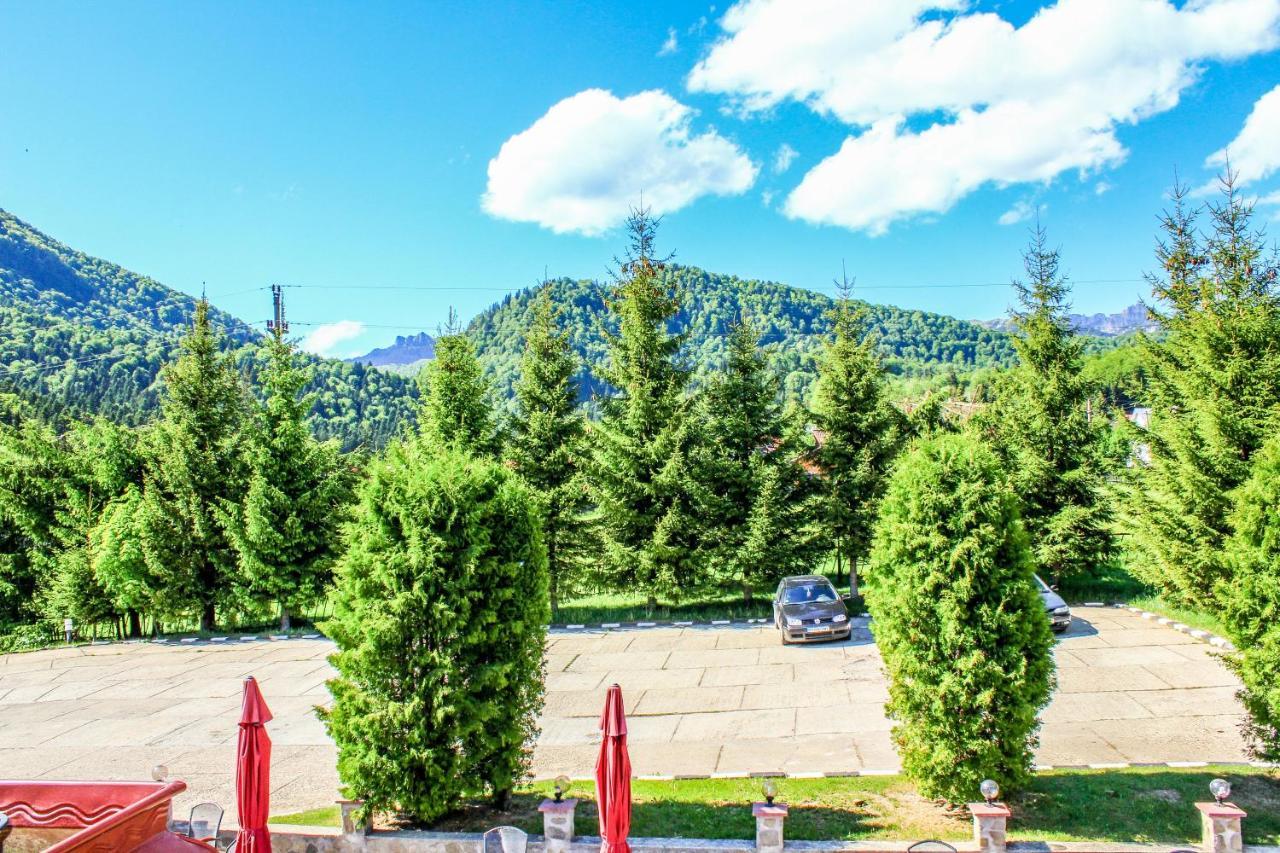Hotel Cheia Cheia  Dış mekan fotoğraf